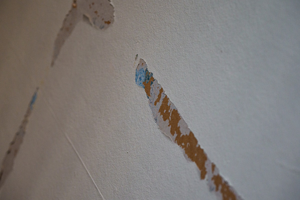 Flood Cleanup service in Westminster, CO